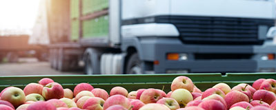 Operaciones axuliares de transporte para la industria alimentaria