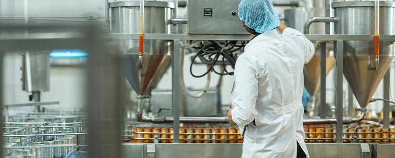 Mantenimiento básico de máquinas e instalaciones en la insdustria alimentaria